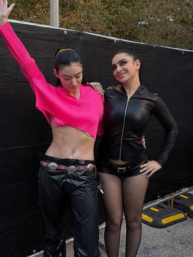 Charli xcx Lorde Lollapalooza backstage selfie smiling