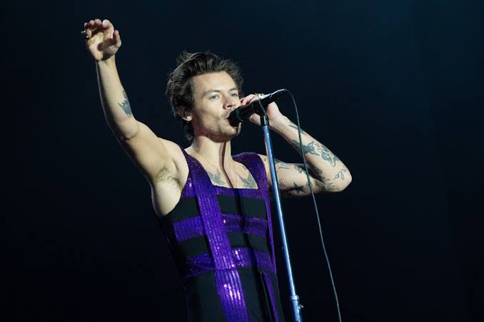 most famous British Harry pop star performing live